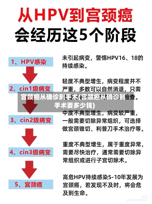 宫颈癌从确诊到手术(宫颈癌从确诊到手术要多少钱)