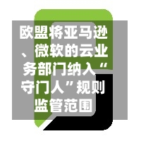 欧盟将亚马逊、微软的云业务部门纳入“守门人”规则监管范围-第2张图片