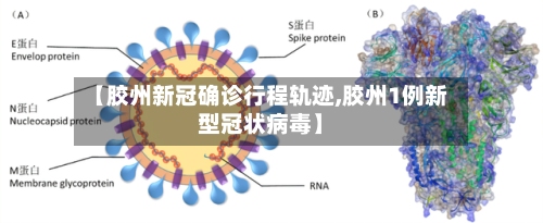 【胶州新冠确诊行程轨迹,胶州1例新型冠状病毒】