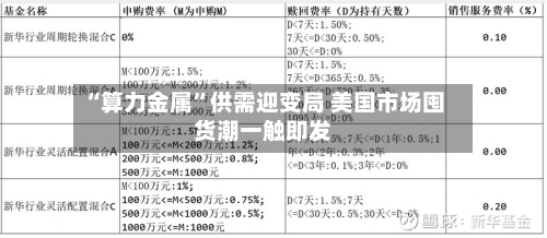 “算力金属”供需迎变局 美国市场囤货潮一触即发