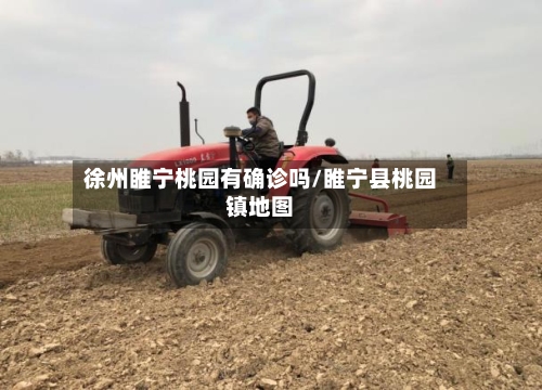 徐州睢宁桃园有确诊吗/睢宁县桃园镇地图-第2张图片