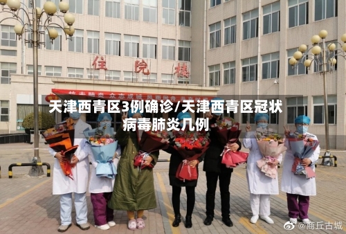 天津西青区3例确诊/天津西青区冠状病毒肺炎几例-第2张图片