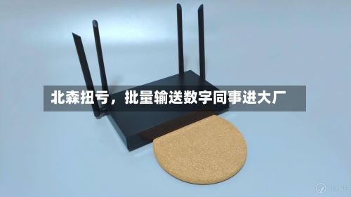 北森扭亏，批量输送数字同事进大厂-第2张图片