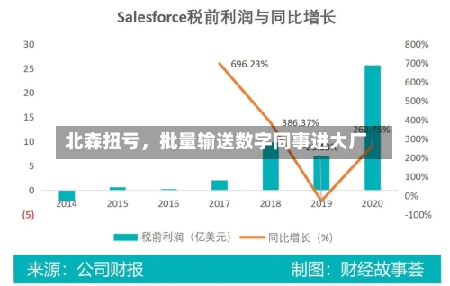 北森扭亏，批量输送数字同事进大厂-第3张图片