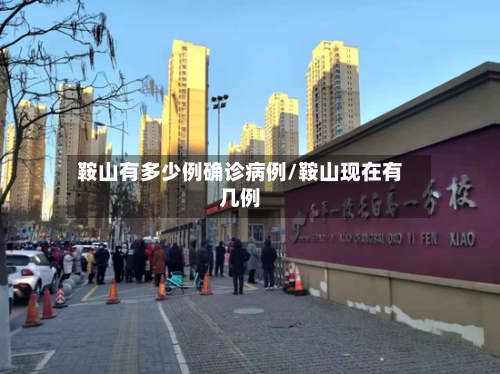 鞍山有多少例确诊病例/鞍山现在有几例-第2张图片