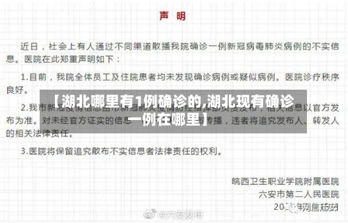 【湖北哪里有1例确诊的,湖北现有确诊一例在哪里】-第3张图片