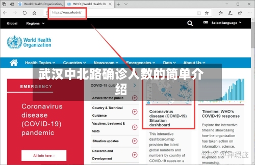 武汉中北路确诊人数的简单介绍-第2张图片