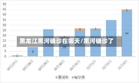 黑龙江黑河确诊在哪天/黑河确诊了