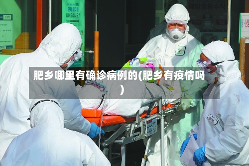 肥乡哪里有确诊病例的(肥乡有疫情吗)