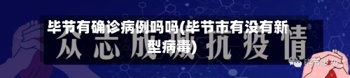 毕节有确诊病例吗吗(毕节市有没有新型病毒)