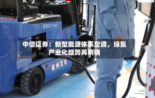 中信证券：新型能源体系定调，绿氢产业化趋势再明确-第3张图片