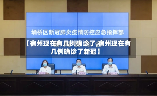 【宿州现在有几例确诊了,宿州现在有几例确诊了新冠】-第2张图片