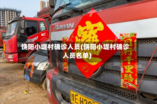 饶阳小堤村确诊人员(饶阳小堤村确诊人员名单)-第2张图片