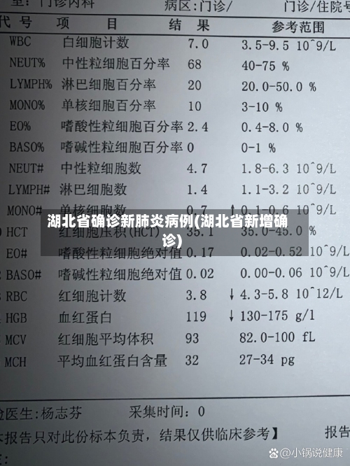 湖北省确诊新肺炎病例(湖北省新增确诊)