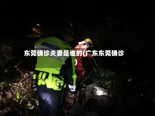 东莞确诊夫妻是谁的(广东东莞确诊)-第2张图片