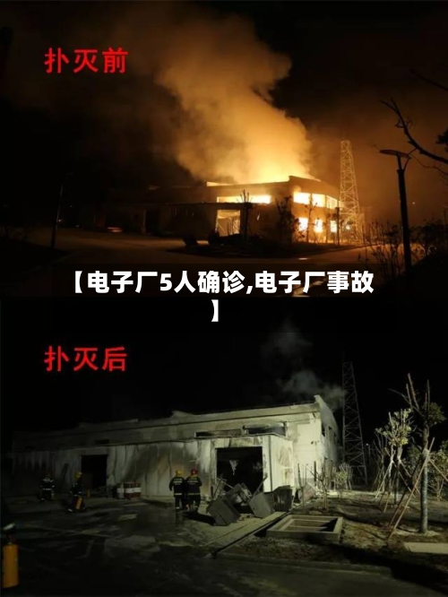 【电子厂5人确诊,电子厂事故】-第2张图片
