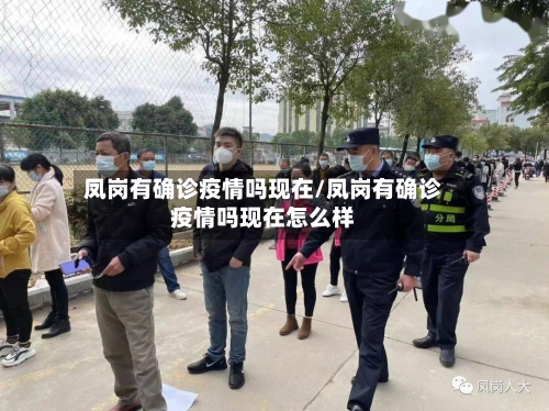 凤岗有确诊疫情吗现在/凤岗有确诊疫情吗现在怎么样-第3张图片