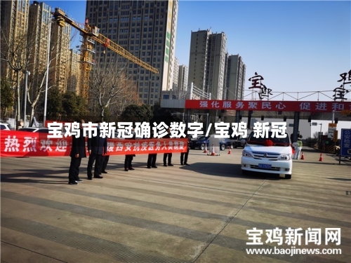 宝鸡市新冠确诊数字/宝鸡 新冠-第3张图片