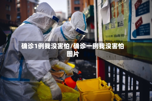 确诊1例我没害怕/确诊一例我没害怕图片-第3张图片