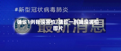 确诊1例我没害怕/确诊一例我没害怕图片-第2张图片