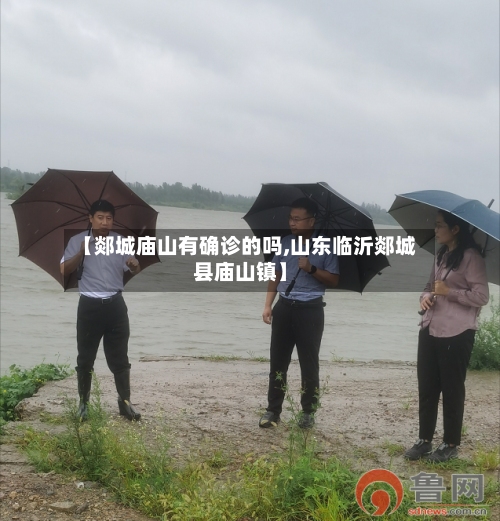 【郯城庙山有确诊的吗,山东临沂郯城县庙山镇】-第2张图片