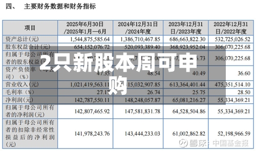 2只新股本周可申购