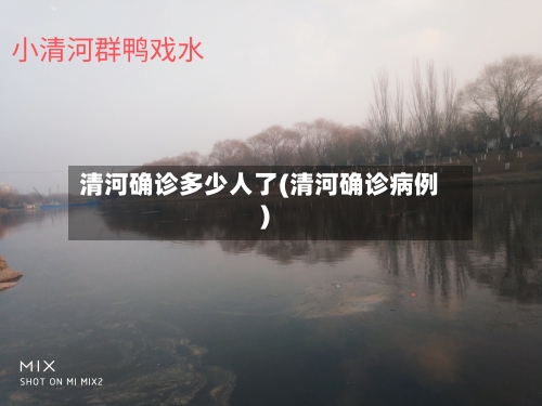 清河确诊多少人了(清河确诊病例)-第2张图片
