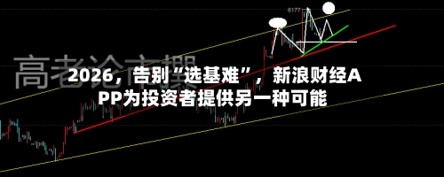 2026，告别“选基难”，新浪财经APP为投资者提供另一种可能-第3张图片