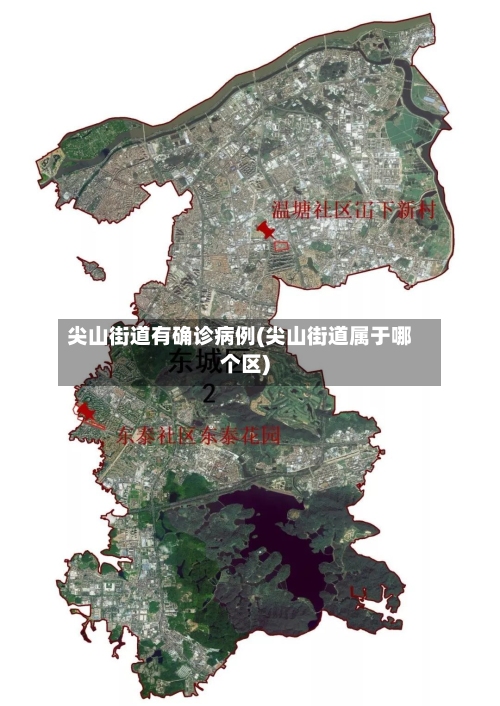 尖山街道有确诊病例(尖山街道属于哪个区)-第3张图片
