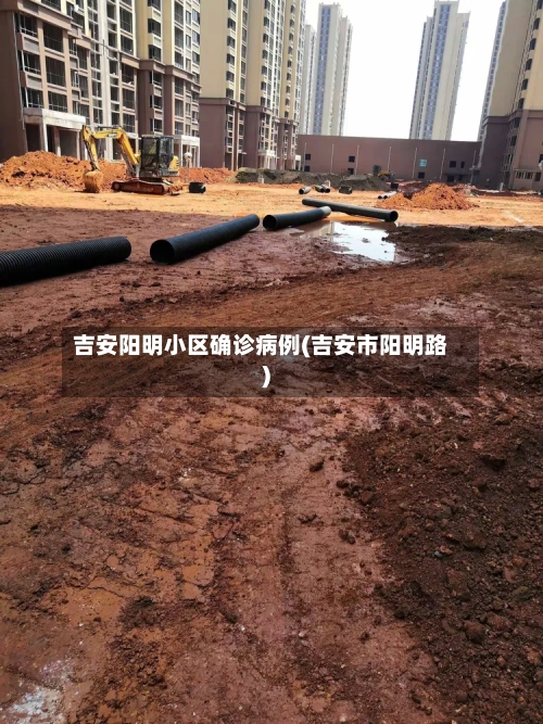 吉安阳明小区确诊病例(吉安市阳明路)-第2张图片