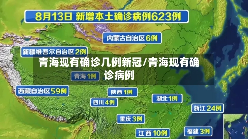 青海现有确诊几例新冠/青海现有确诊病例