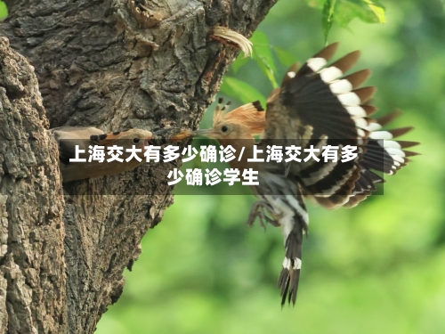 上海交大有多少确诊/上海交大有多少确诊学生-第3张图片