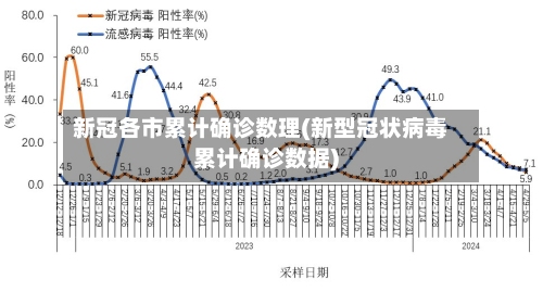 新冠各市累计确诊数理(新型冠状病毒累计确诊数据)-第3张图片
