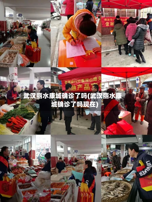武汉丽水康城确诊了吗(武汉丽水康城确诊了吗现在)