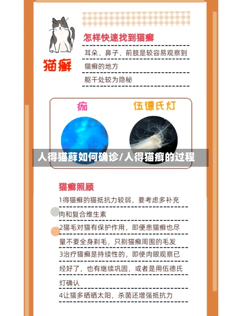 人得猫藓如何确诊/人得猫癣的过程-第2张图片