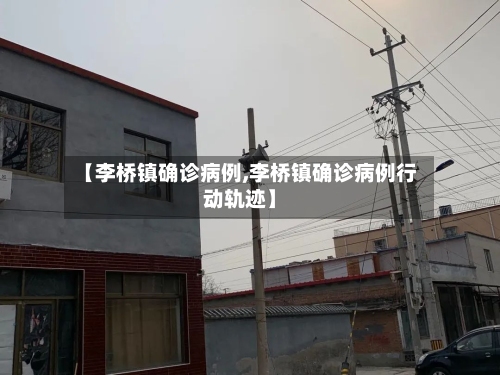 【李桥镇确诊病例,李桥镇确诊病例行动轨迹】