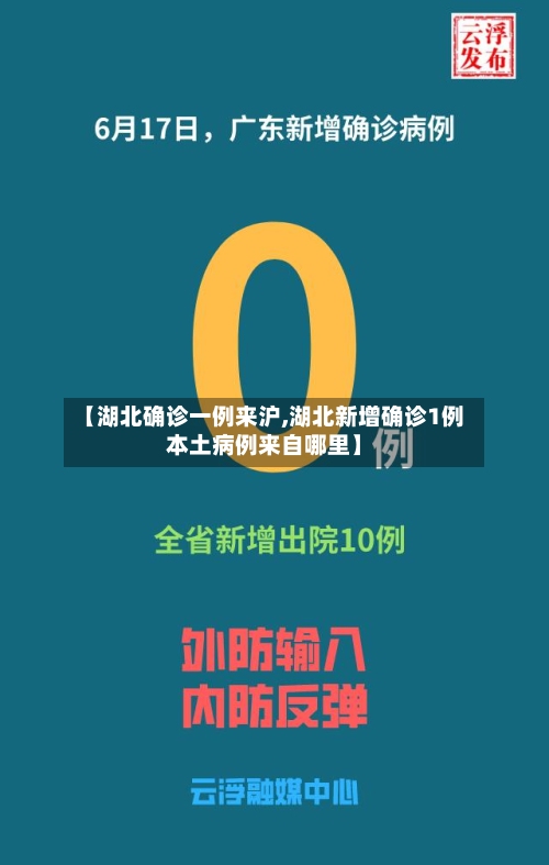 【湖北确诊一例来沪,湖北新增确诊1例本土病例来自哪里】