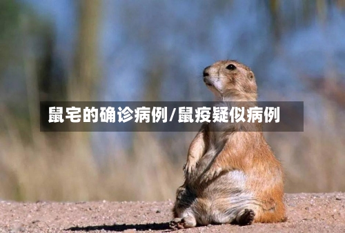 鼠宅的确诊病例/鼠疫疑似病例