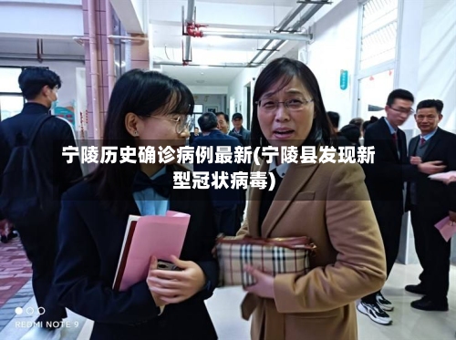 宁陵历史确诊病例最新(宁陵县发现新型冠状病毒)-第3张图片