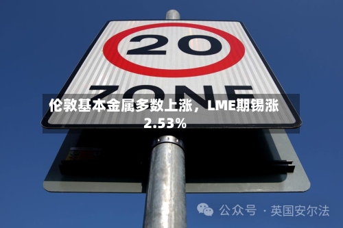 伦敦基本金属多数上涨，LME期锡涨2.53%