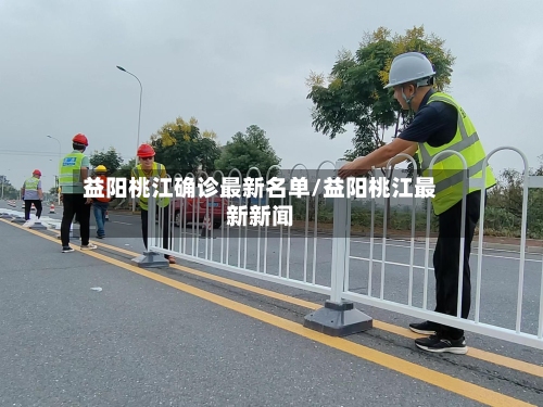 益阳桃江确诊最新名单/益阳桃江最新新闻-第2张图片