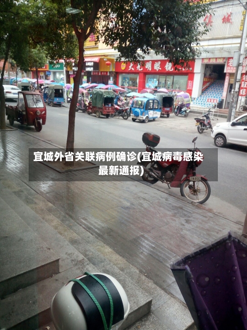 宜城外省关联病例确诊(宜城病毒感染最新通报)-第2张图片