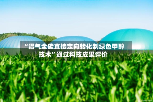 “沼气全碳直接定向转化制绿色甲醇技术”通过科技成果评价