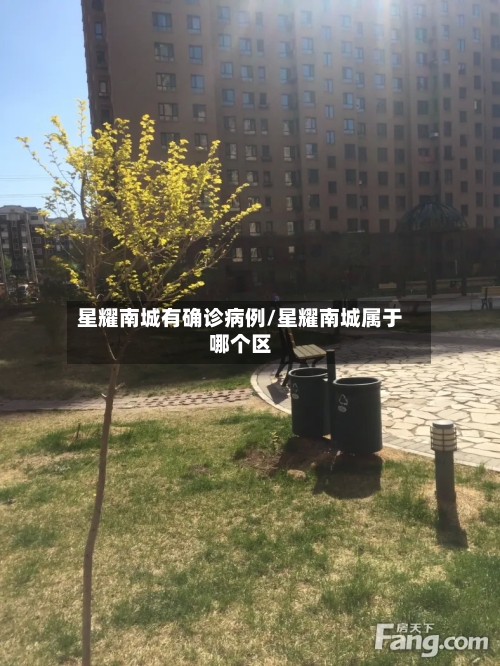 星耀南城有确诊病例/星耀南城属于哪个区-第3张图片