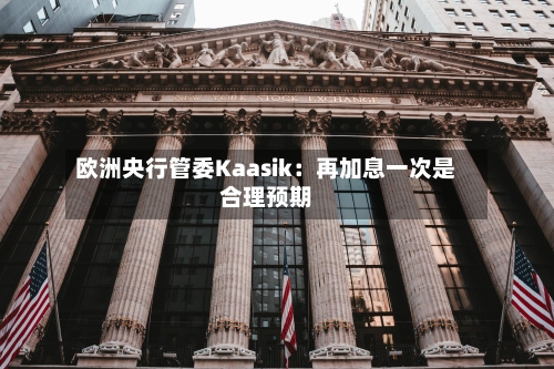 欧洲央行管委Kaasik：再加息一次是合理预期-第2张图片