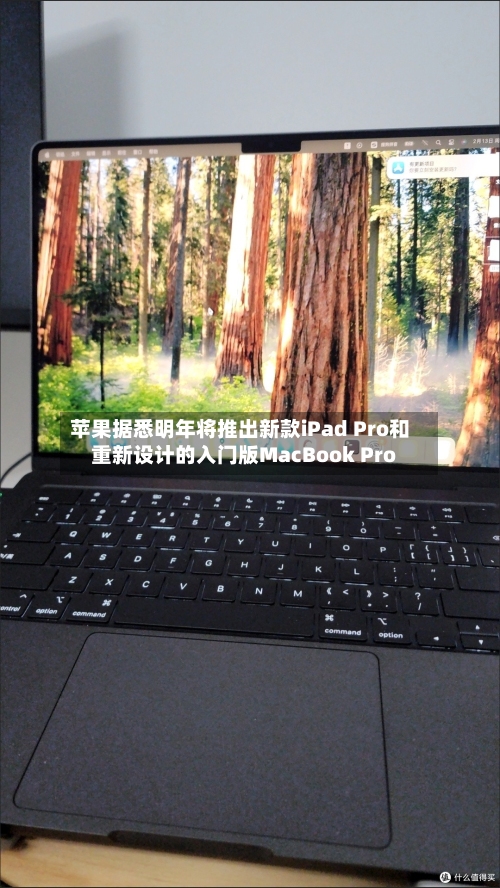 苹果据悉明年将推出新款iPad Pro和重新设计的入门版MacBook Pro