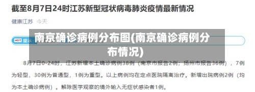 南京确诊病例分布图(南京确诊病例分布情况)-第2张图片