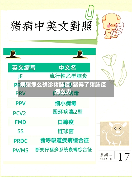 病猪怎么确诊猪肺疫/猪得了猪肺疫怎么办-第3张图片
