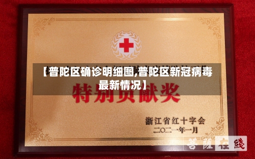 【普陀区确诊明细图,普陀区新冠病毒最新情况】-第2张图片