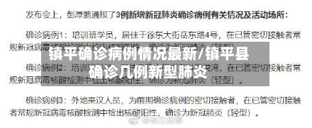 镇平确诊病例情况最新/镇平县确诊几例新型肺炎-第3张图片